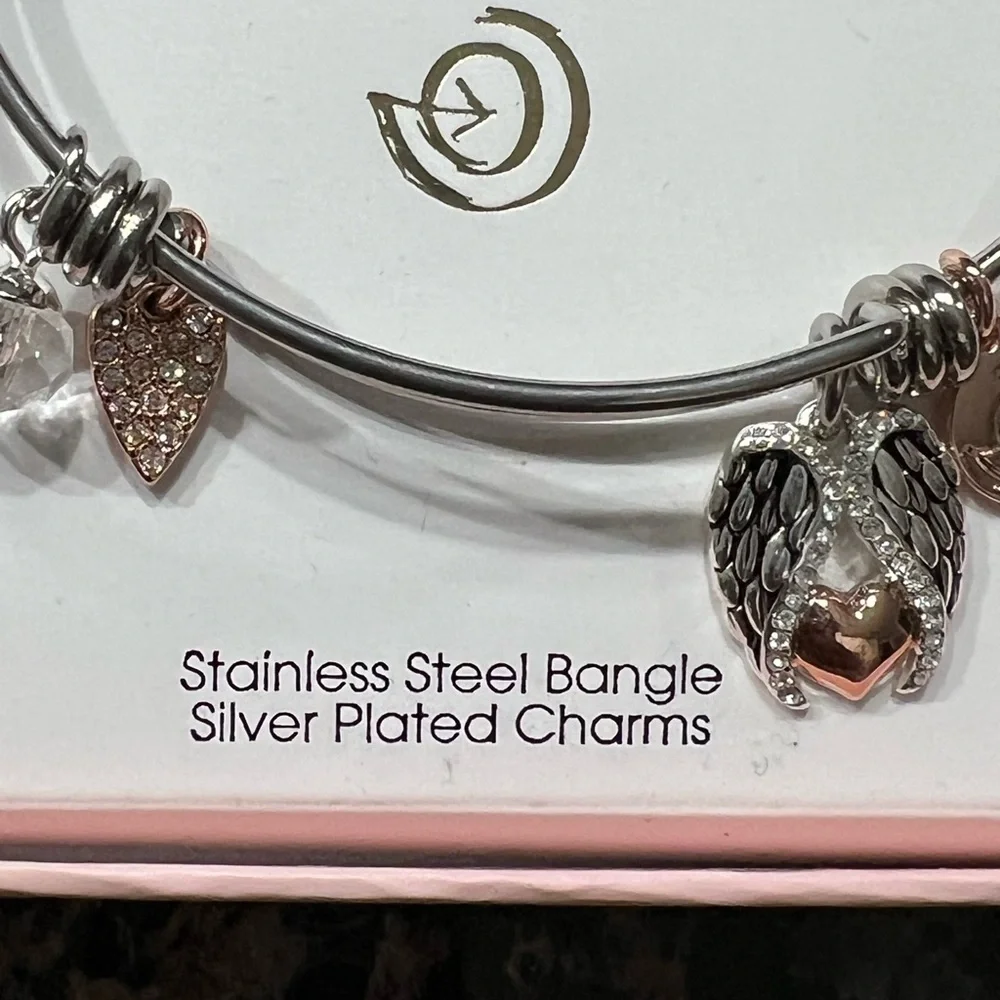 Brand New In Box Angel Bangle Bracelet With Charms Stainless Steel